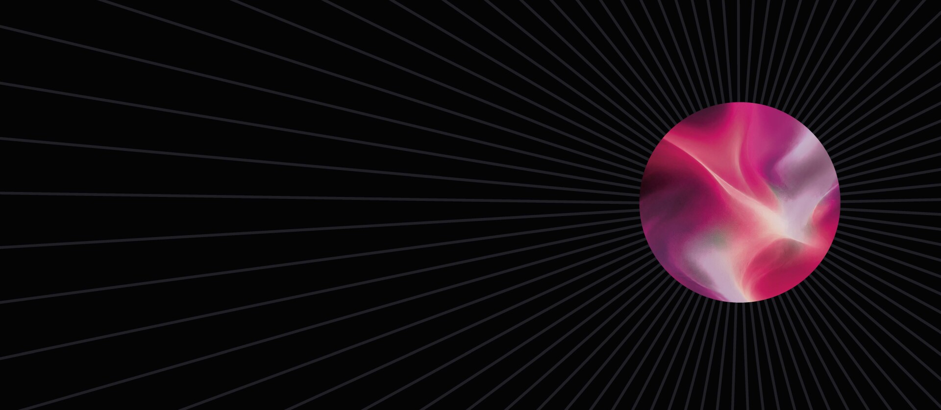 Header website NVDV V2