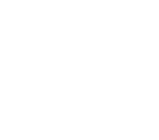 Logo NVDV wit